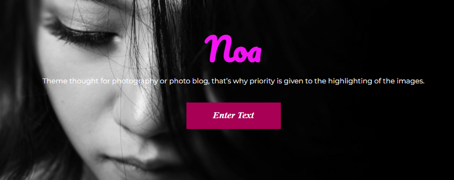 Noa- Best WordPress Photography Themes